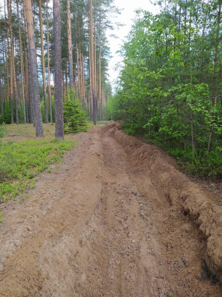 В Шарьинском лесничестве принимают меры по недопущению лесных пожаров