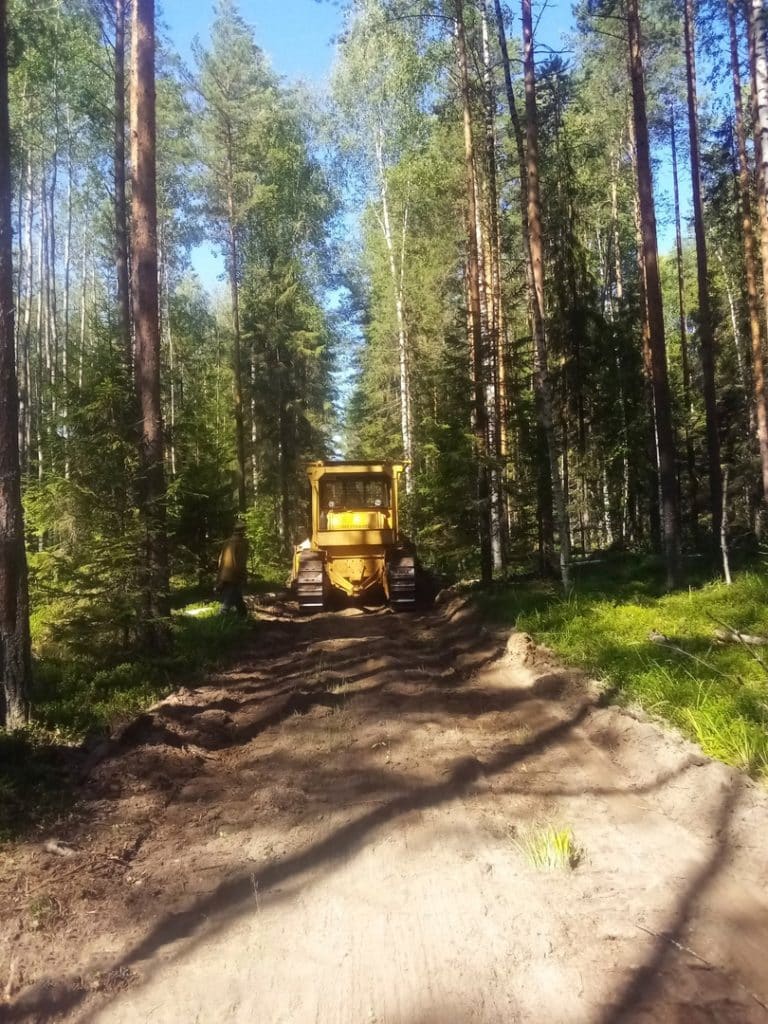 В Шарьинском лесничестве принимают меры по недопущению лесных пожаров