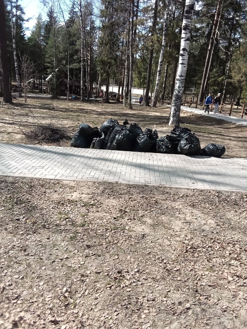 Шарьинцы дружно вышли на субботник в Городской парк