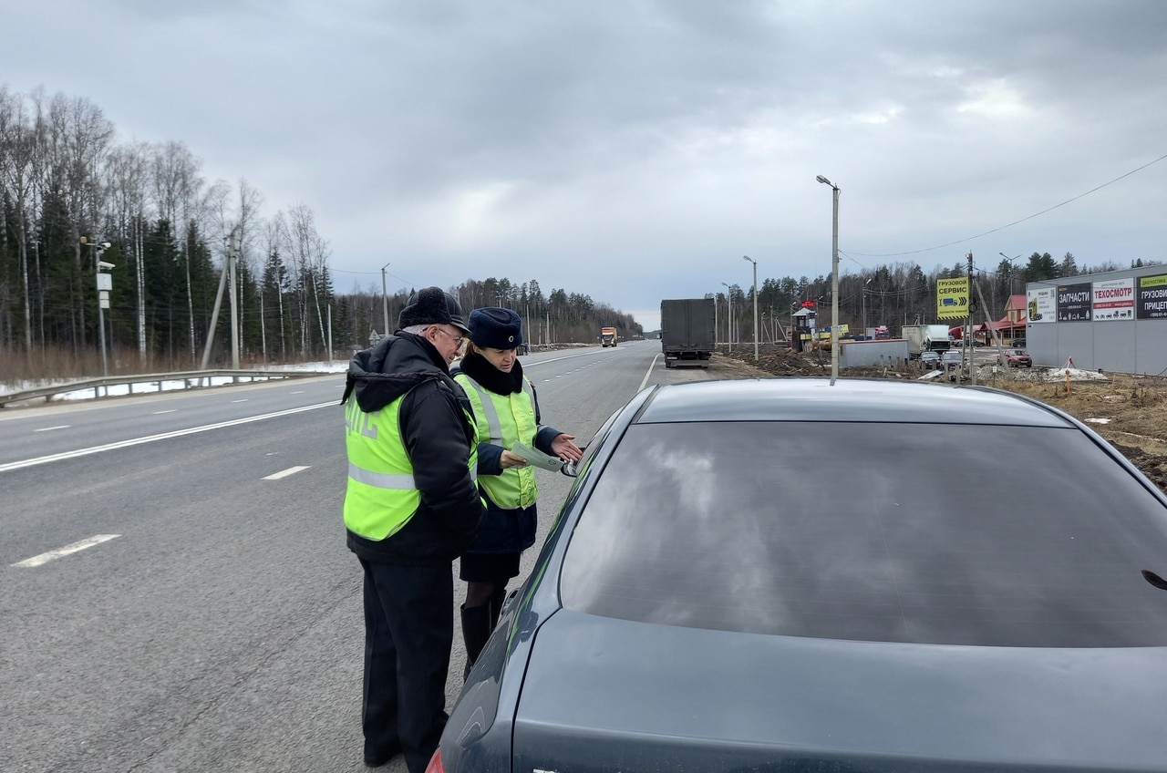 Автоинспекторы провели профилактическое мероприятие на автотрассе под Шарьей