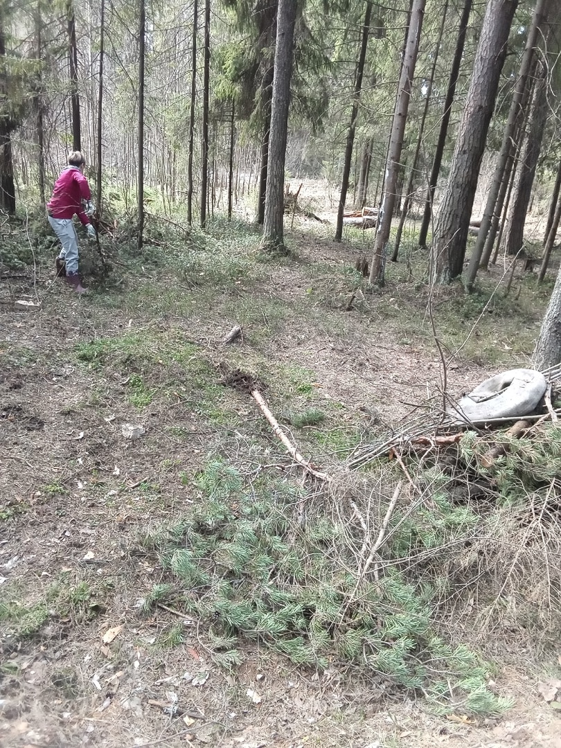 Шарьинцы дружно вышли на субботник в Городской парк