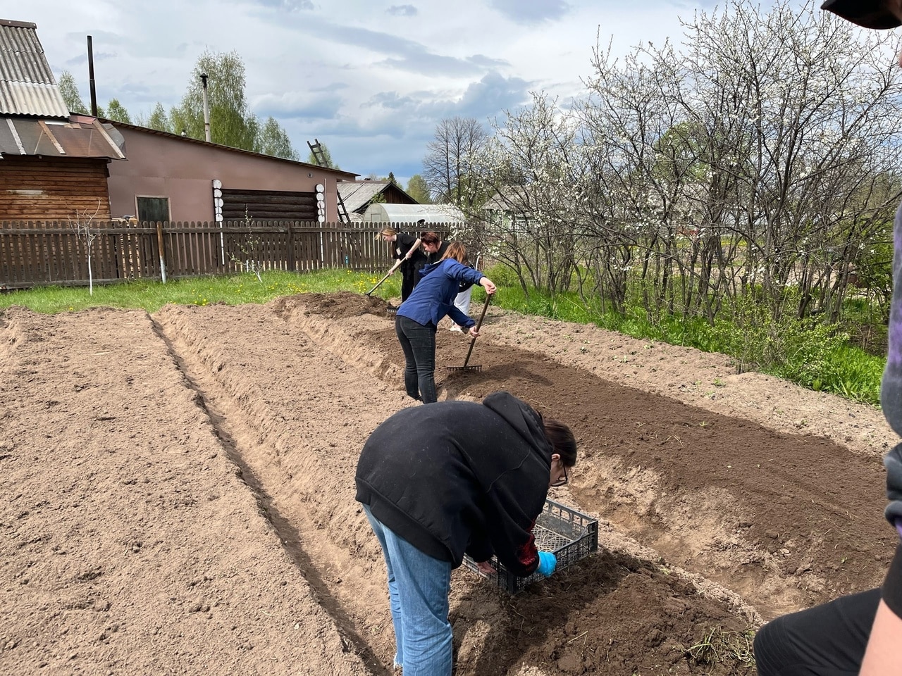 Шарьинские студенты помогают в огороде семьям солдат