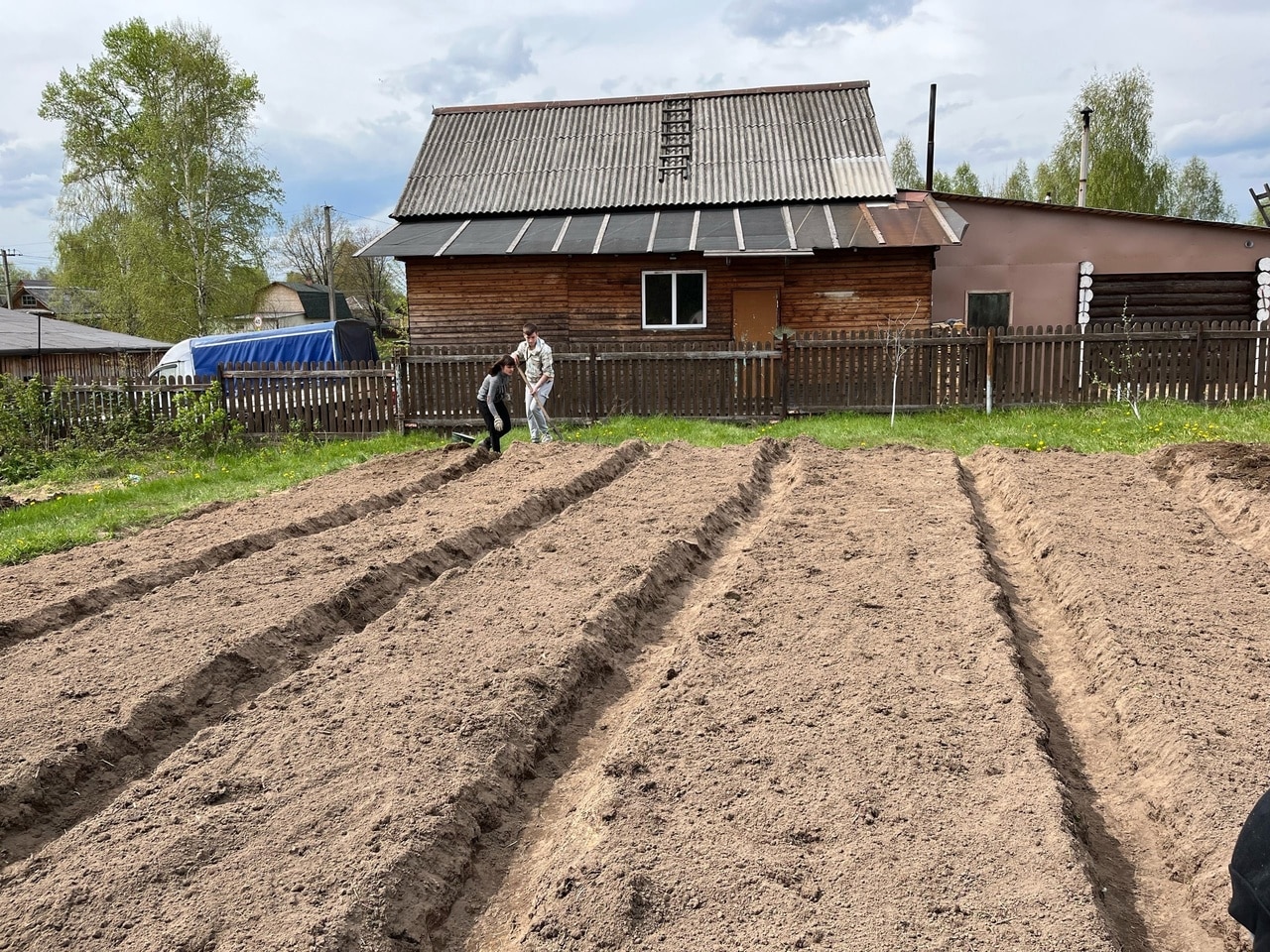 Шарьинские студенты помогают в огороде семьям солдат