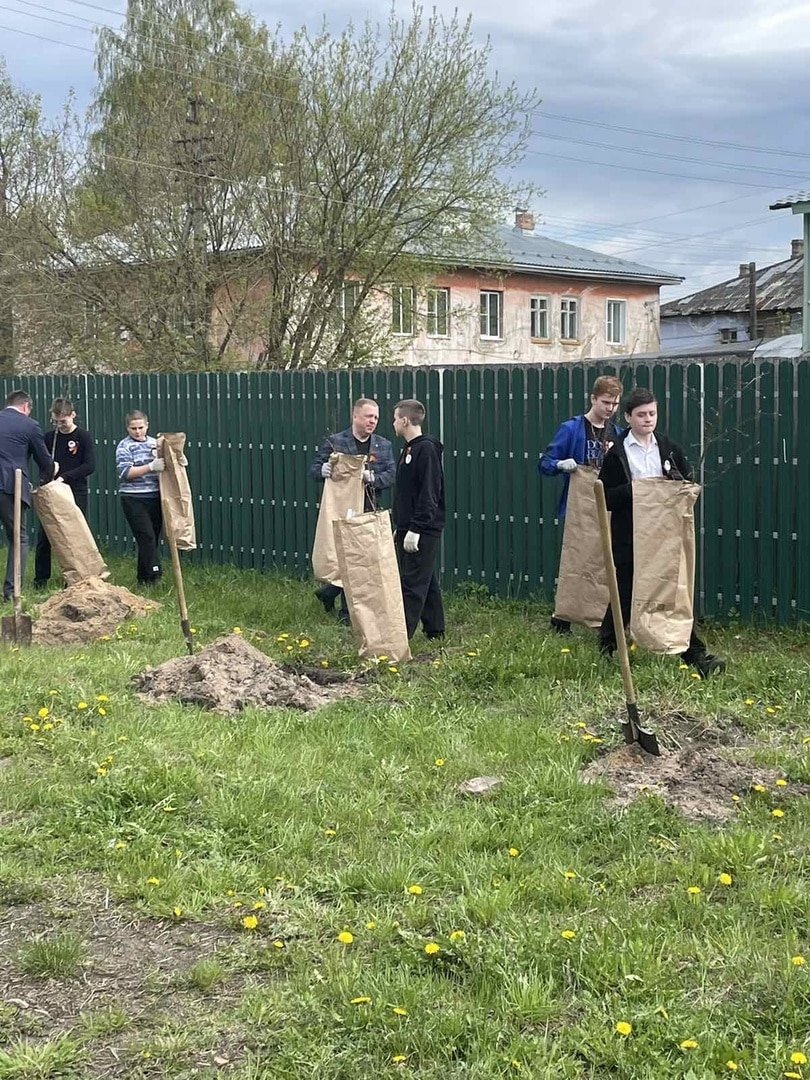 В Шарье клены дополнили «Сад памяти»