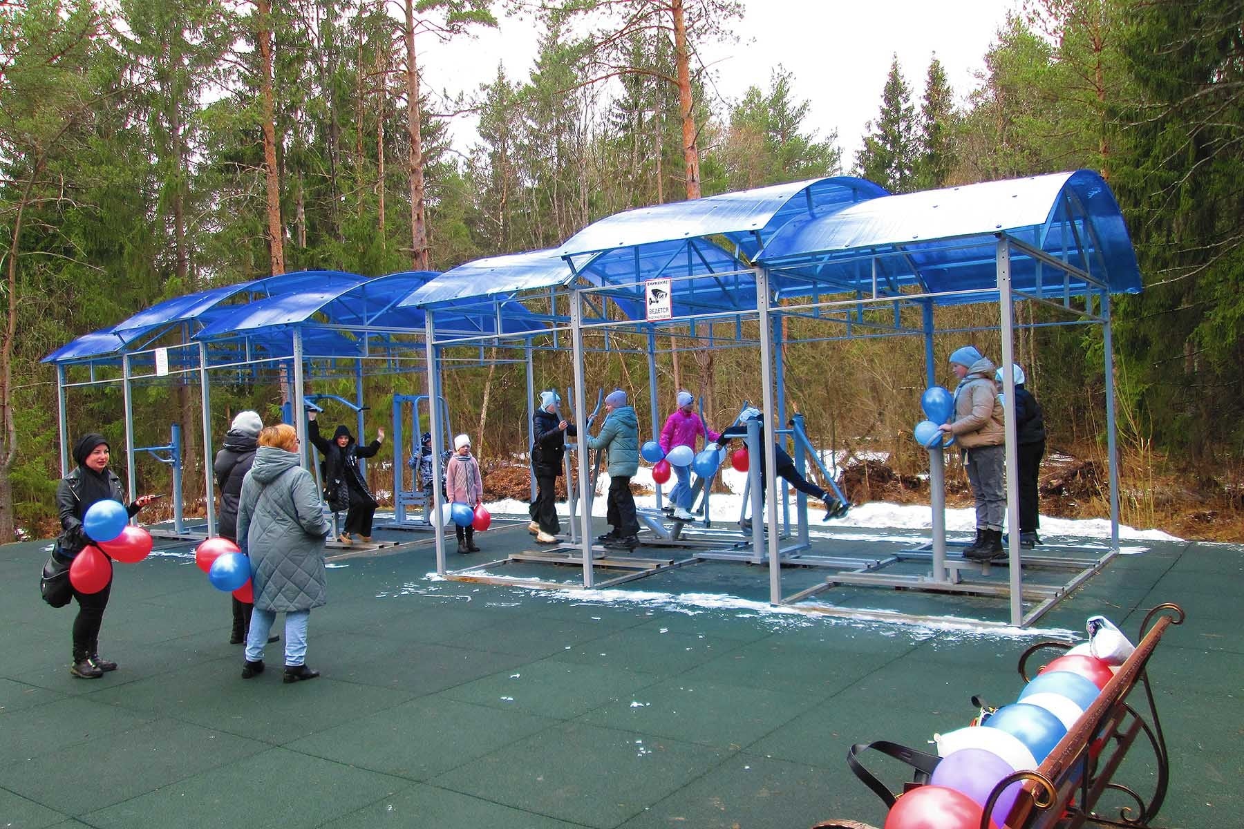 Школьники познакомились с древними шарьинскими моллюсками