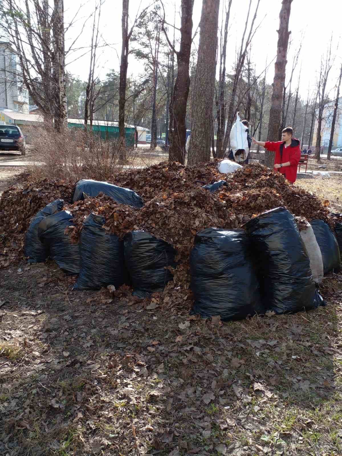 Ветераны и школьники очистили сквер в Шарье от мусора