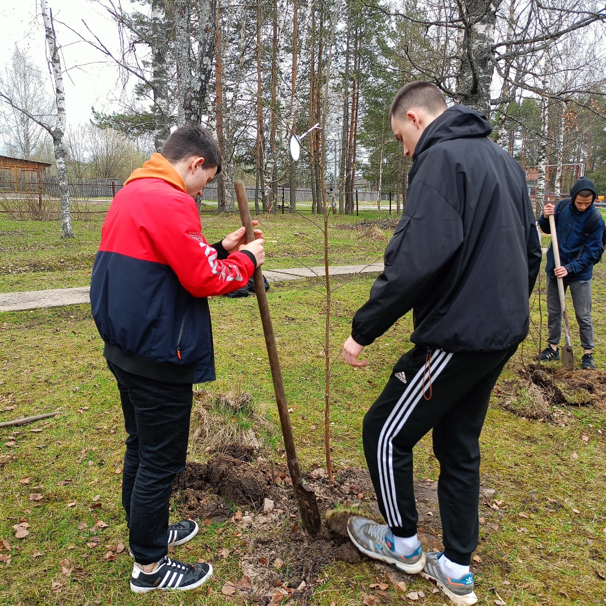 Акция «Сад памяти» стартовала в Шарьинском районе