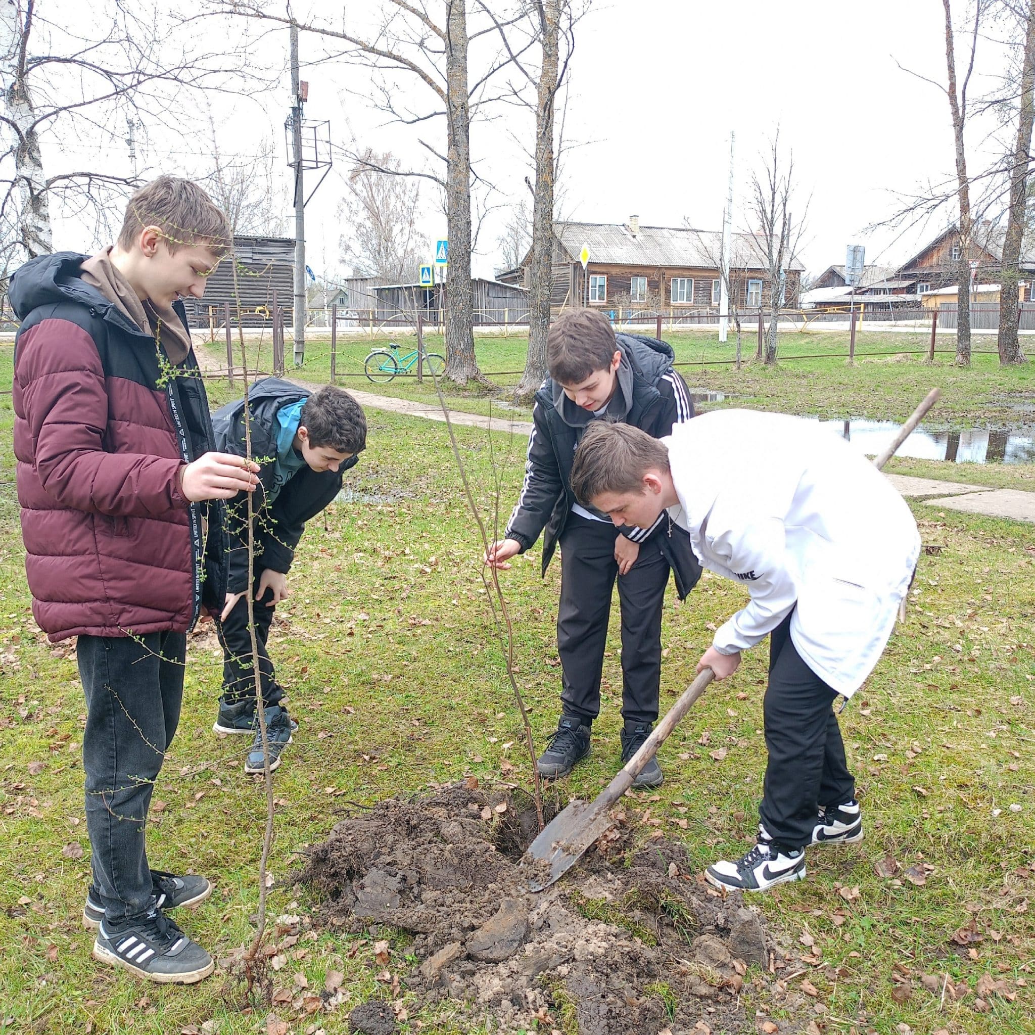 Акция «Сад памяти» стартовала в Шарьинском районе
