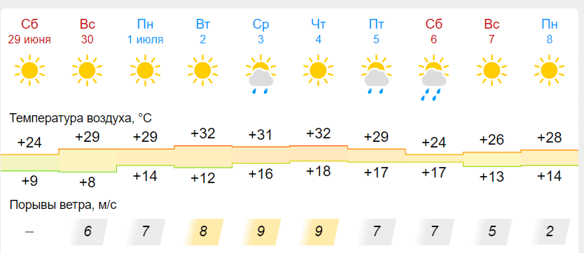 Знойная жара ожидает шарьинцев