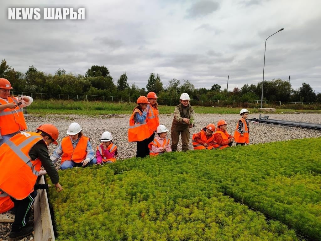 Лесопитомник открыл свои двери юным шарьинцам