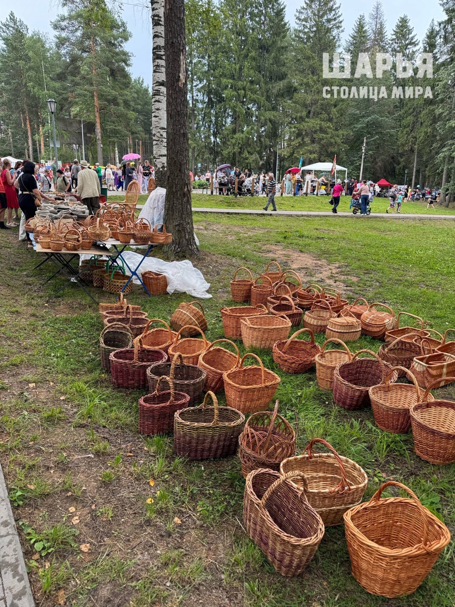 Шарьинцы отметили День города