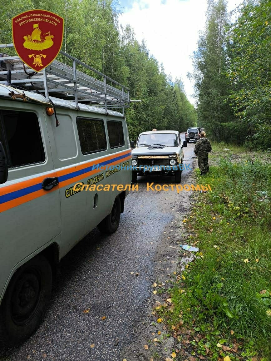 В погоне за большими грибами шарьинка попала в лесную «ловушку»