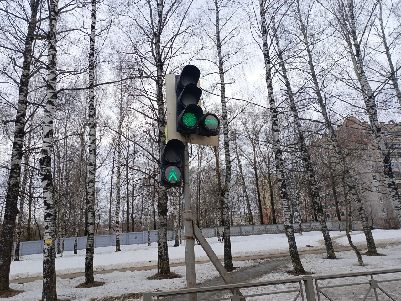 Мамы и папы шарьинских школьников продолжают дежурить на дорогах