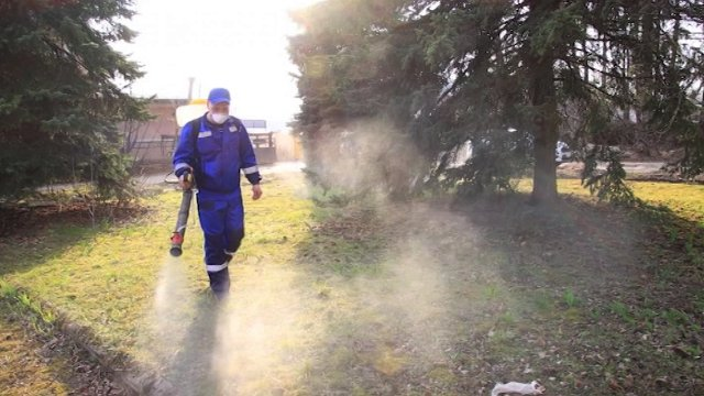 Шарьинские кладбища начали обрабатывать от клещей