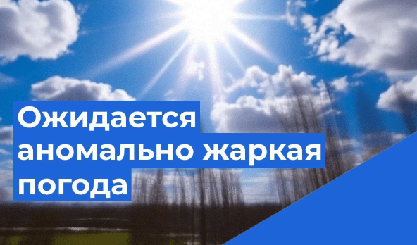 Аномальная жара сохранится в Шарье до конца недели