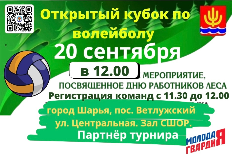 В Шарье пройдёт открытый кубок по волейболу ко Дню работников леса