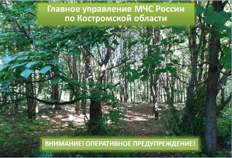 В Шарье объявлен высший уровень пожарной опасности