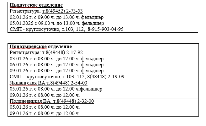 Шарьинцам рассказали о графике работы поликлиник в новогодние праздники