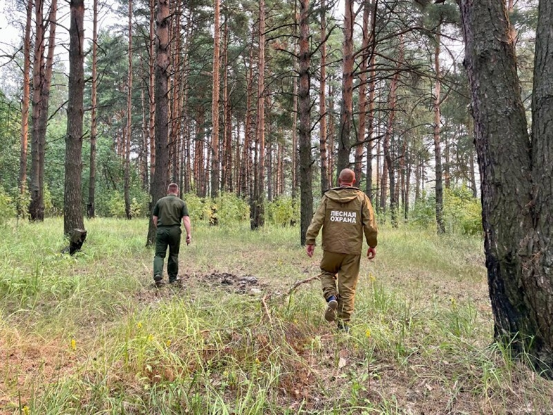 В Шарье ожидается высокий класс пожарной опасности